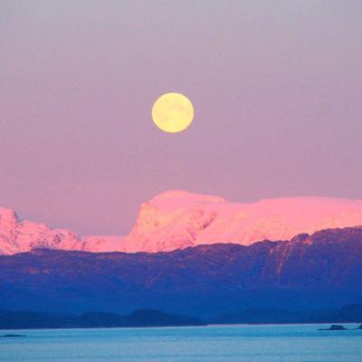 足球滚球的正规平台app手机app下载