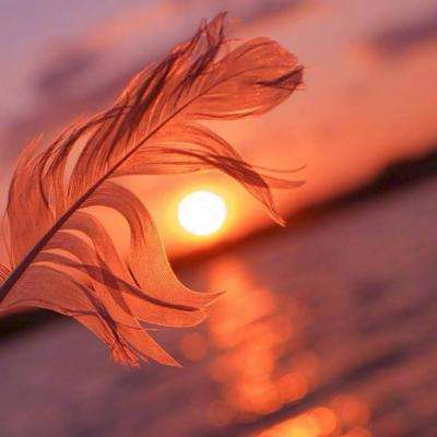 welcome新皇冠手机app下载