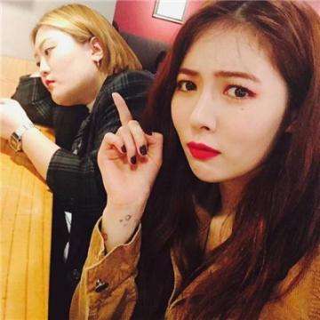 1788网投手机app下载